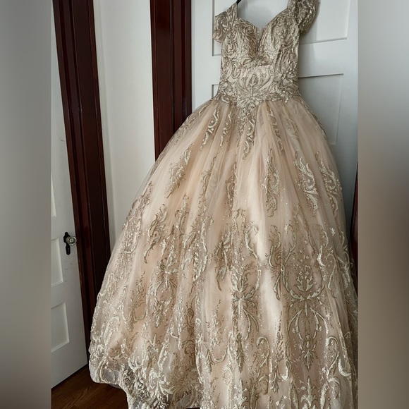 Prom Gown, Quinceañera Gown, Wedding Gown, Cosplay Gown or Ball Gown - Picture 6 of 14